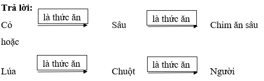 Giải bài tập Sinh học 6 | Để học tốt Sinh 6