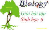 Giải bài tập Sinh học 6 | Trả lời câu hỏi Sinh học 6