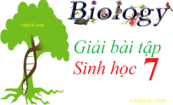 Giải bài tập Sinh học 7 | Trả lời câu hỏi Sinh học 7 | Để học tốt sinh học 7