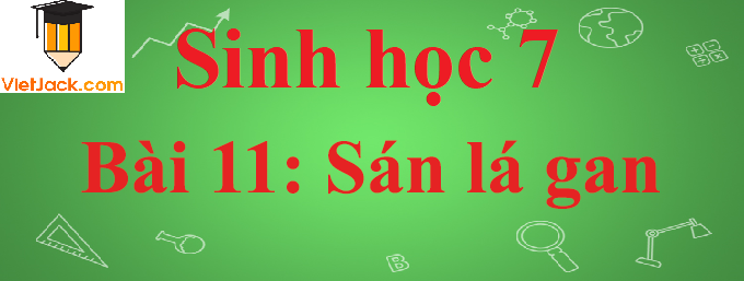 Sinh học lớp 7 Bài 11: Sán lá gan ngắn nhất