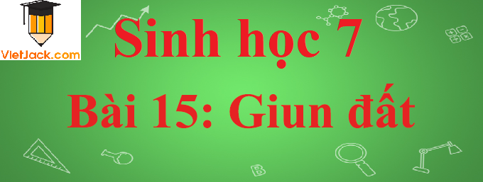 Sinh học lớp 7 Bài 15: Giun đất ngắn nhất