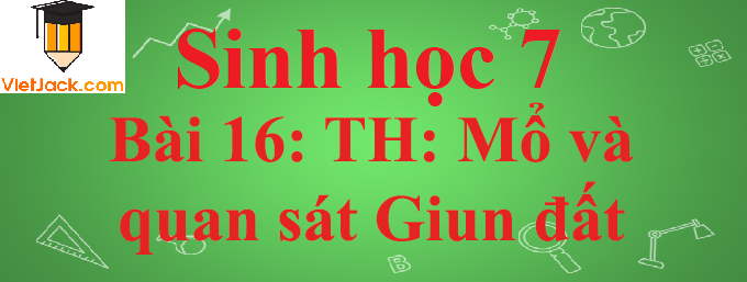 Sinh học lớp 7 Bài 16: Thực hành: Mổ và quan sát giun đất ngắn nhất