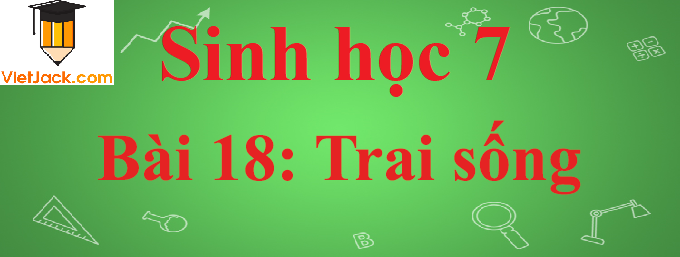 Sinh học lớp 7 Bài 18: Trai sống ngắn nhất