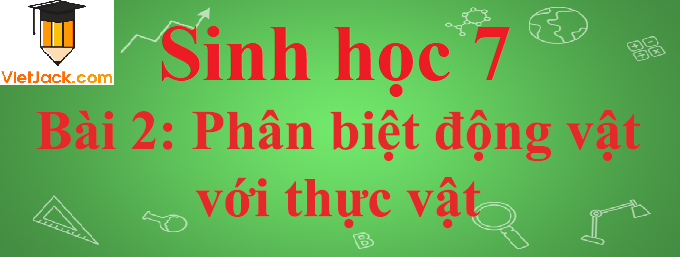 Sinh học lớp 7 Bài 2: Phân biệt động vật với thực vật. Đặc điểm chung của động vật ngắn nhất