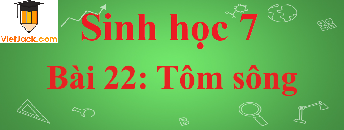 Sinh học lớp 7 Bài 22: Tôm sông ngắn nhất