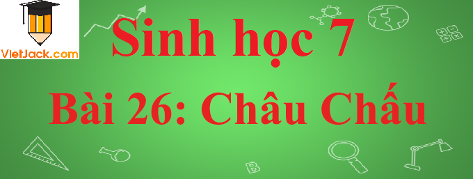 Sinh học lớp 7 Bài 26: Châu chấu ngắn nhất