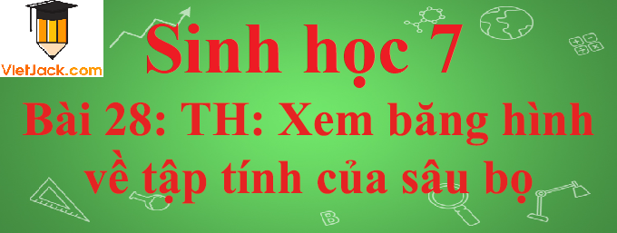 Sinh học lớp 7 Bài 28: Thực hành: Xem băng hình về tập tính của sâu bọ ngắn nhất