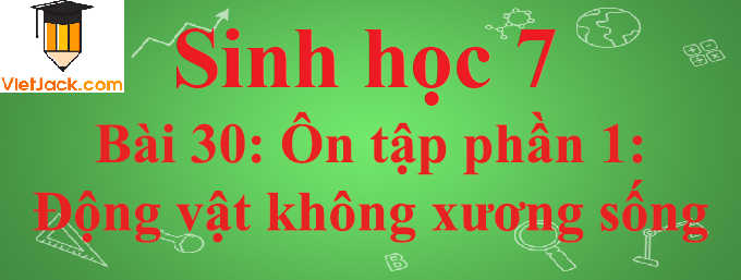 Sinh học lớp 7 Bài 30: Ôn tập phần 1 - Động vật không xương sống ngắn nhất