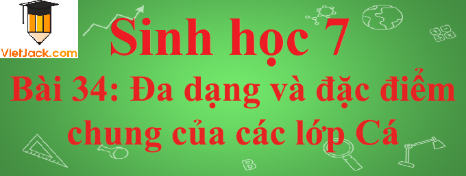 Sinh học lớp 7 Bài 34: Đa dạng và đặc điểm chung của các lớp Cá ngắn nhất