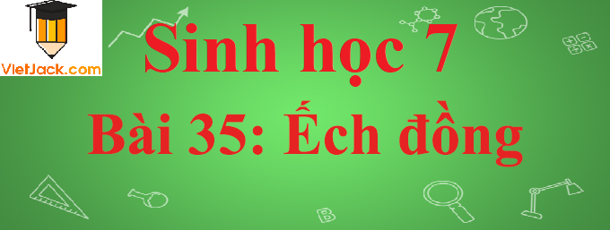 Sinh học lớp 7 Bài 35: Ếch đồng ngắn nhất