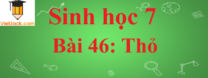 Sinh học lớp 7 Bài 46: Thỏ ngắn nhất