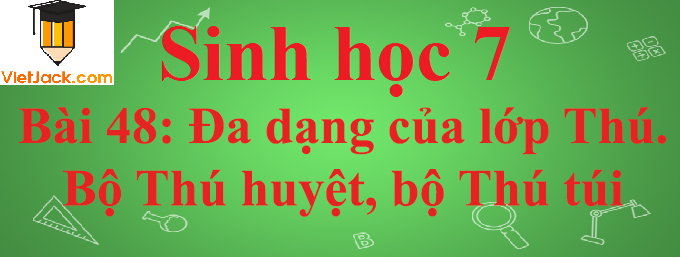 Sinh học lớp 7 Bài 48: Đa dạng của lớp Thú. Bộ Thú huyệt, bộ Thú túi ngắn nhất