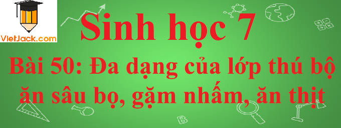 Sinh học lớp 7 Bài 50: Đa dạng của lớp thú bộ ăn sâu bọ, bộ gặm nhấm, bộ ăn thịt ngắn nhất