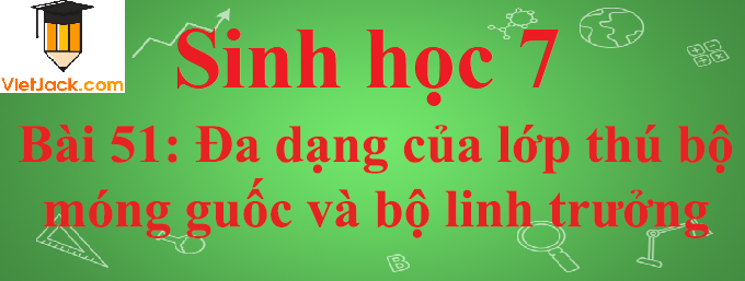 Sinh học lớp 7 Bài 51: Đa dạng của lớp thú các bộ móng guốc và bộ linh trưởng ngắn nhất