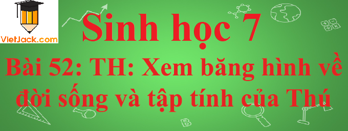 Sinh học lớp 7 Bài 52: Thực hành: Xem băng hình về đời sống và tập tính của Thú ngắn nhất