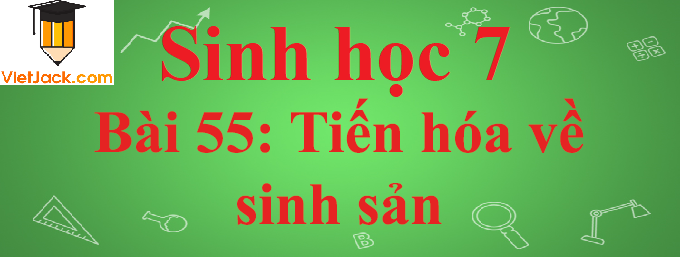 Sinh học lớp 7 Bài 55: Tiến hóa về sinh sản ngắn nhất