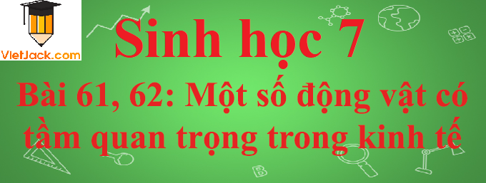 Sinh học lớp 7 Bài 61, 62: Tìm hiểu một số động vật có tầm quan trọng trong kinh tế ở địa phương ngắn nhất