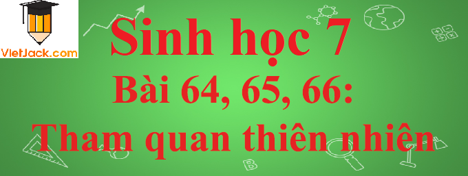 Sinh học lớp 7 Bài 64, 65, 66: Tham quan thiên nhiên ngắn nhất