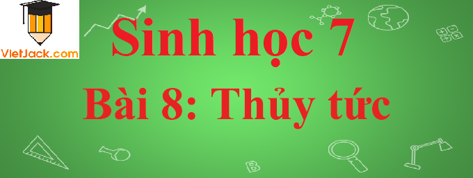 Sinh học lớp 7 Bài 8: Thủy tức ngắn nhất