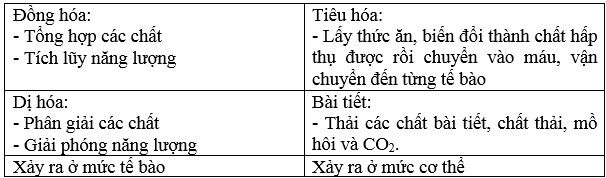 Giải bài tập Sinh học 8 | Trả lời câu hỏi Sinh 8