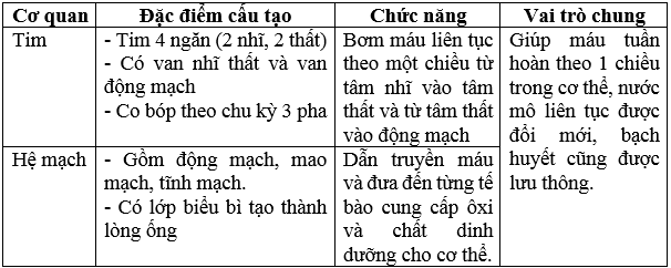 Giải bài tập Sinh học 8 | Trả lời câu hỏi Sinh 8