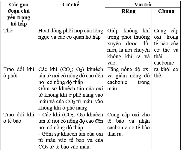 Giải bài tập Sinh học 8 | Trả lời câu hỏi Sinh 8