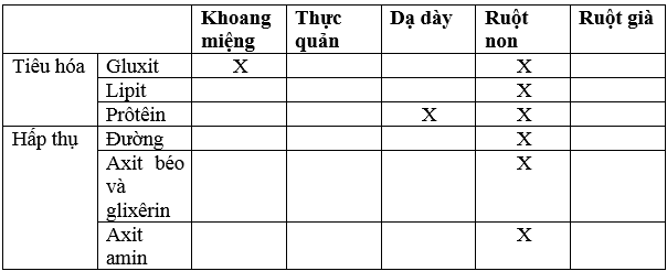 Giải bài tập Sinh học 8 | Trả lời câu hỏi Sinh 8