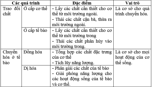 Giải bài tập Sinh học 8 | Trả lời câu hỏi Sinh 8