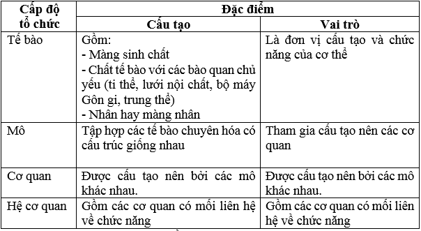 Giải bài tập Sinh học 8 | Trả lời câu hỏi Sinh 8