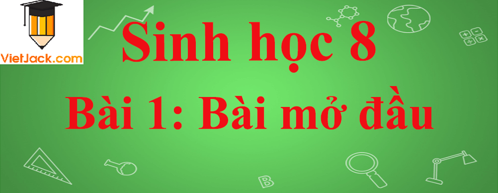 Sinh học lớp 8 Bài 1: Bài mở đầu ngắn nhất