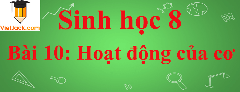 Sinh học lớp 8 Bài 10: Hoạt động của cơ ngắn nhất