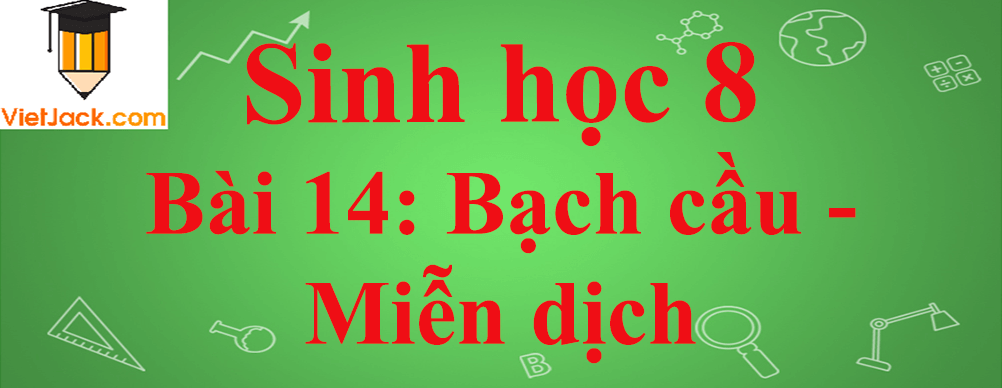 Sinh học lớp 8 Bài 14: Bạch cầu - Miễn dịch ngắn nhất