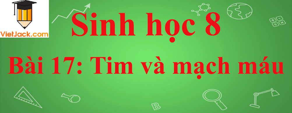 Sinh học lớp 8 Bài 17: Tim và mạch máu ngắn nhất