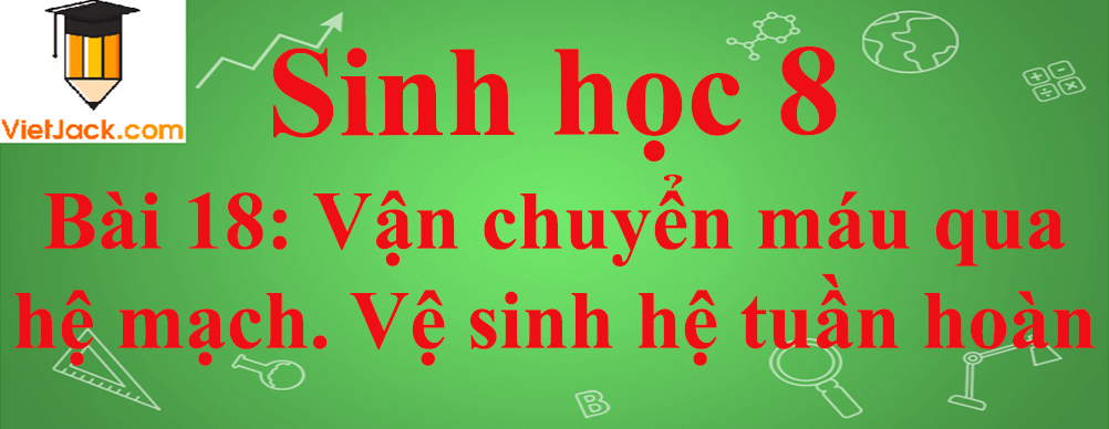 Sinh học lớp 8 Bài 18: Vận chuyển máu qua hệ mạch. Vệ sinh hệ tuần hoàn ngắn nhất