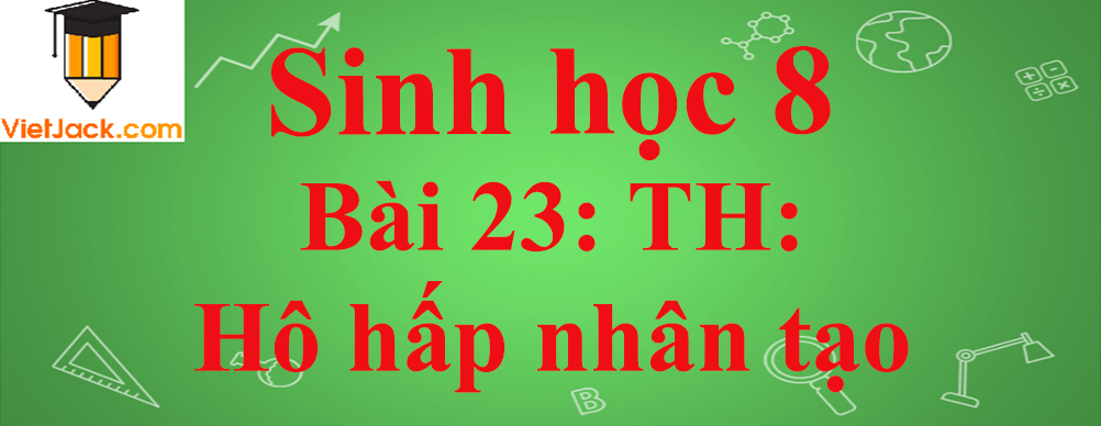 Sinh học lớp 8 Bài 23: Thực hành: Hô hấp nhân tạo ngắn nhất