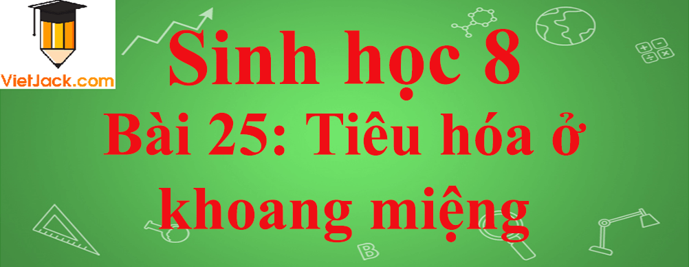 Sinh học lớp 8 Bài 25: Tiêu hóa ở khoang miệng ngắn nhất