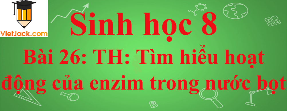 Sinh học lớp 8 Bài 26: Thực hành: Tìm hiểu hoạt động của enzim trong nước bọt ngắn nhất