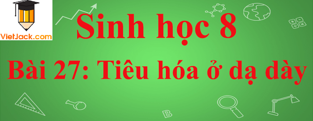 Sinh học lớp 8 Bài 27: Tiêu hóa ở dạ dày ngắn nhất