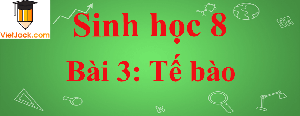 Sinh học lớp 8 Bài 3: Tế bào ngắn nhất