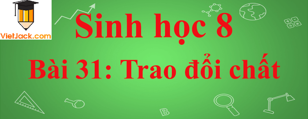 Sinh học lớp 8 Bài 31: Trao đổi chất ngắn nhất