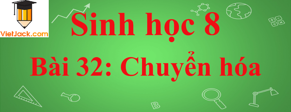 Sinh học lớp 8 Bài 32: Chuyển hóa ngắn nhất