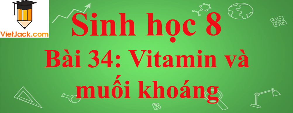 Sinh học lớp 8 Bài 34: Vitamin và muối khoáng ngắn nhất