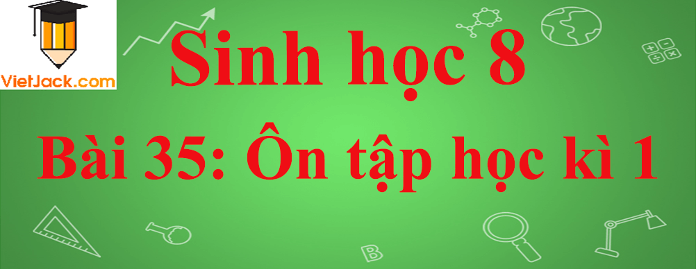 Sinh học lớp 8 Bài 35: Ôn tập học kì 1 ngắn nhất