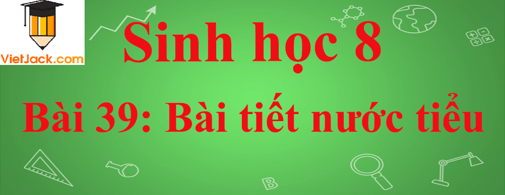 Sinh học lớp 8 Bài 39: Bài tiết nước tiểu ngắn nhất