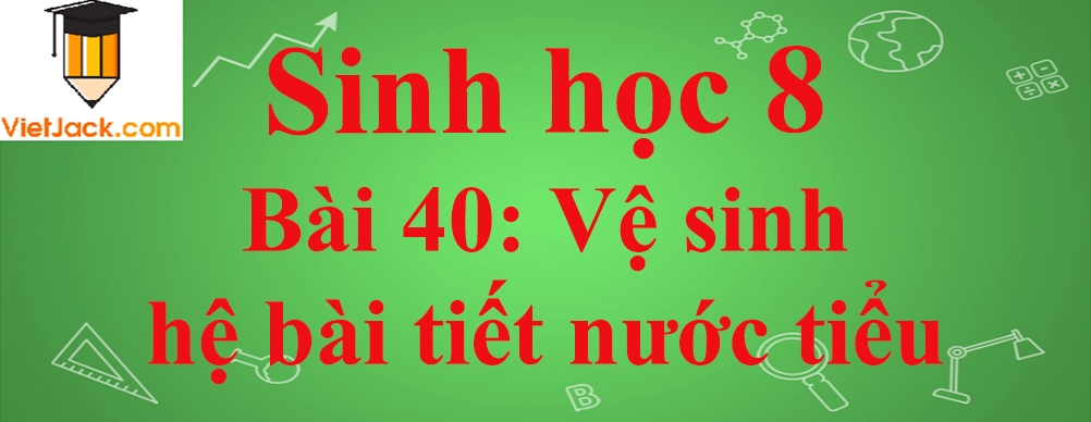 Sinh học lớp 8 Bài 40: Vệ sinh hệ bài tiết nước tiểu ngắn nhất