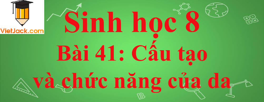 Sinh học lớp 8 Bài 41: Cấu tạo và chức năng của da ngắn nhất