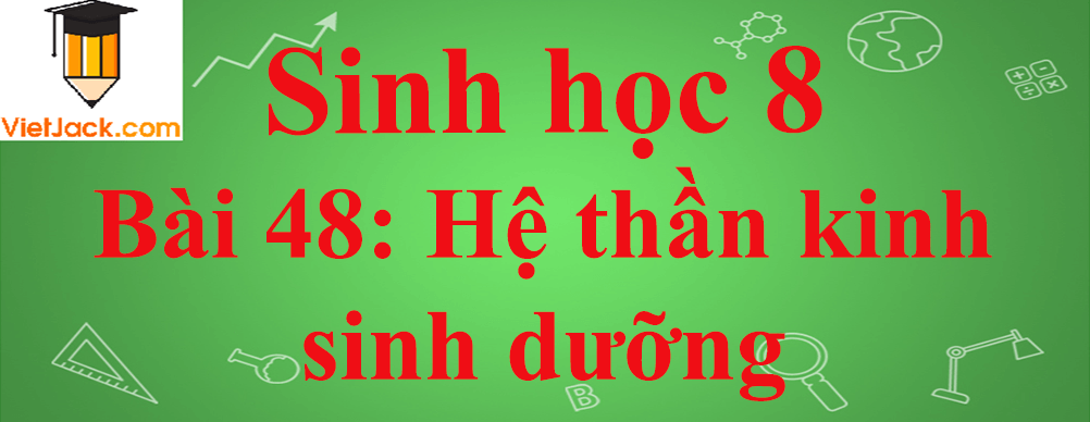 Sinh học lớp 8 Bài 48: Hệ thần kinh sinh dưỡng ngắn nhất