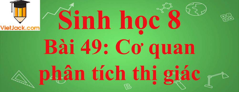 Sinh học lớp 8 Bài 49: Cơ quan phân tích thị giác ngắn nhất