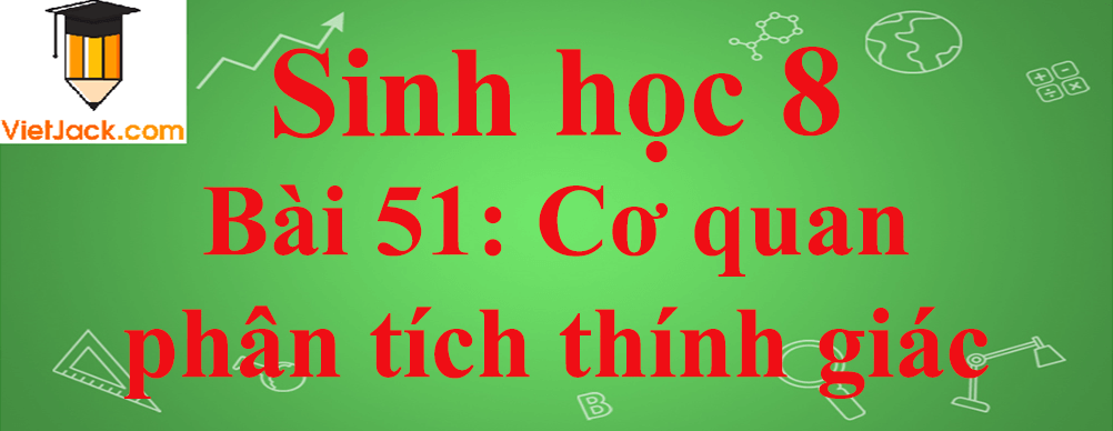 Sinh học lớp 8 Bài 51: Cơ quan phân tích thính giác ngắn nhất