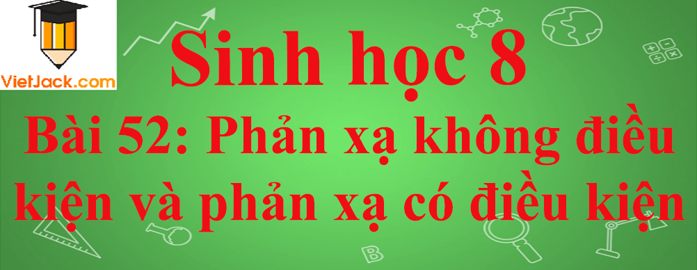 Sinh học lớp 8 Bài 52: Phản xạ không điều kiện và phản xạ có điều kiện ngắn nhất